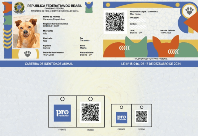 sinpatinhas:-saiba-como-funciona-e-como-fazer-um-rg-para-o-seu-pet