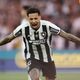 botafogo-anuncia-renovacao-do-contrato-de-gregore