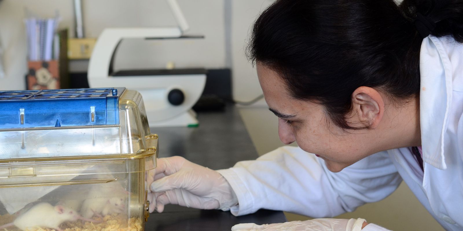 tecidos-feitos-em-laboratorio-podem-aperfeicoar-testes-de-medicamentos