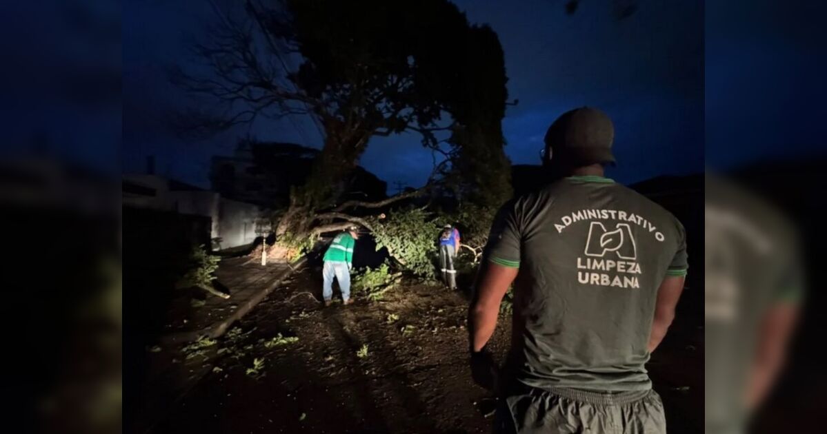 mais-de-1,8-mil-imoveis-continuam-sem-energia-em-maringa-apos-temporal