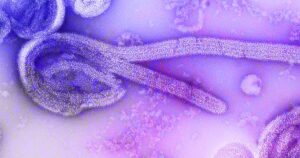 potencial-pandemico-do-ebola-e-diferente-da-covid-19,-diz-infectologista