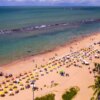 Pernambuco volta a monitorar tubarões na orla após 10 anos