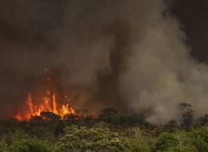 camara-aprova-aumento-de-punicao-a-quem-provocar-incendios-florestais
