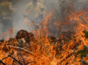 policia-federal-inicia-operacao-de-combate-a-incendios-florestais