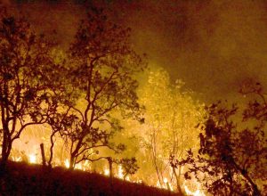 maranhao-reforca-acoes-e-equipamentos-para-combate-as-queimadas