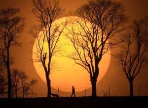 horoscopo:-saiba-o-que-esperar-para-o-seu-signo-nesta-terca-feira,-dia-22