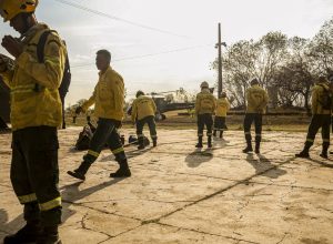 combate-aos-incendios-florestais-recebe-mais-brigadistas-e-veiculos