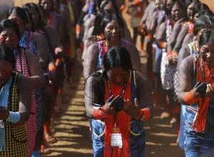 governo-deve-ter-nova-derrota-em-projetos-ligados-ao-meio-ambiente