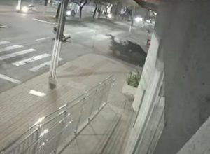 video:-motociclista-e-carregado-por-6km-apos-cair-em-cacamba-de-picape-em-acidente