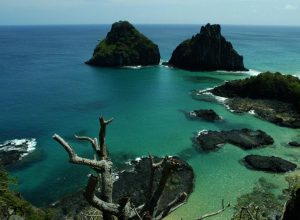 quase-50%-dos-turistas-usam-redes-como-fonte-de-informacao-de-viagem