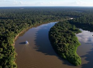 amazonia-legal-teve-uma-reducao-de-11,08%-no-desmatamento-em-um-ano