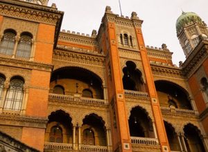 fiocruz-inicia-testes-em-humanos-para-tratar-atrofia-muscular-espinhal