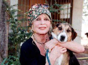 brigitte-bardot-disse-em-entrevista-a-rita-lee-que-tinha-medo-da-morte:-‘ela-e-monstruosa’