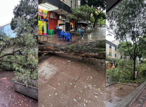 governo-federal-reconhece-emergencia-em-cidades-de-mg;-inmet-alerta