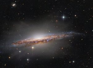 horoscopo:-saiba-o-que-esperar-para-o-seu-signo-nesta-sexta-feira,-dia-23