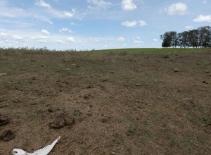 seca-persiste-em-1,9-mil-municipios-brasileiros